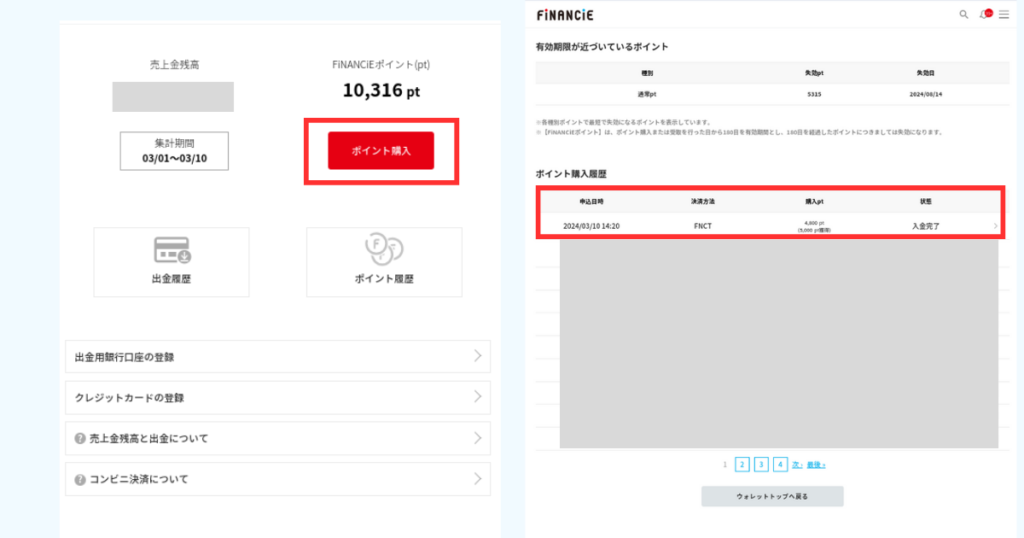 FNCTでFiNANCiEポイント購入⑦