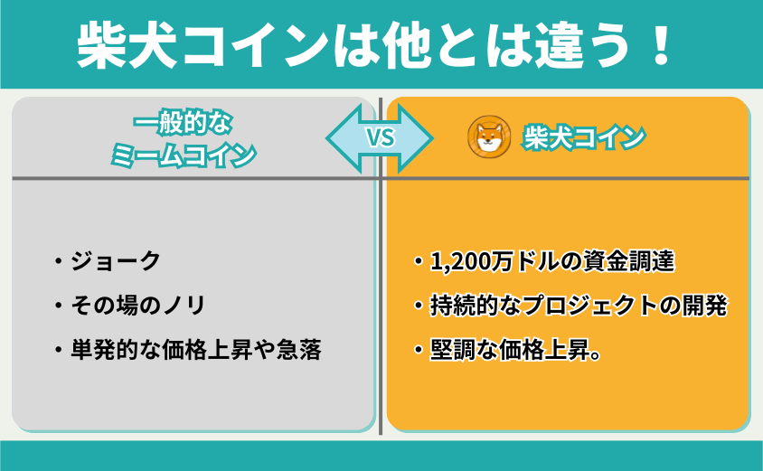 柴犬コイン　差別化